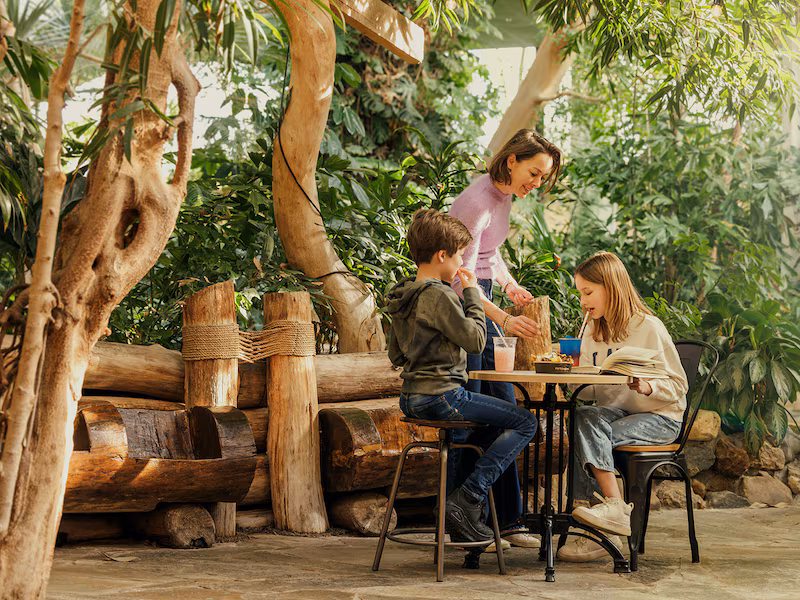 The cafe in the dome